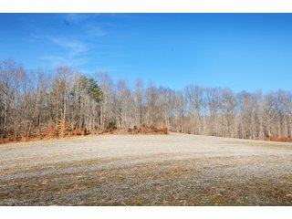 Tract 10 - Tillable Land - REAL ESTATE AUCTION - 1,013 ACRES IN 21 TRACTS IN MARTIN COUNTY, INDIANA